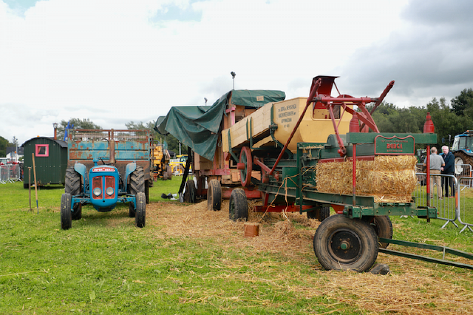 Threshing Corn